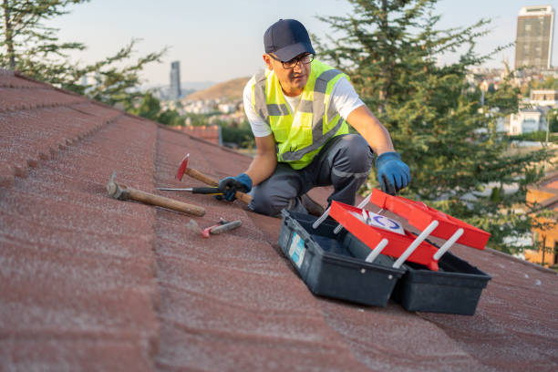 Best Vinyl Siding Installation  in Lagunitas Forest Knolls, CA